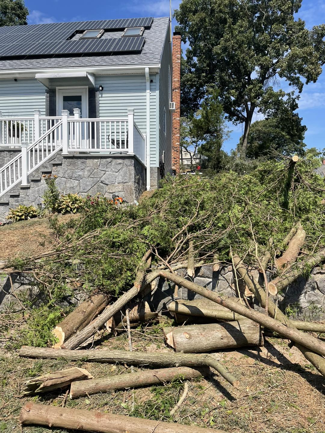 Professional excavating services