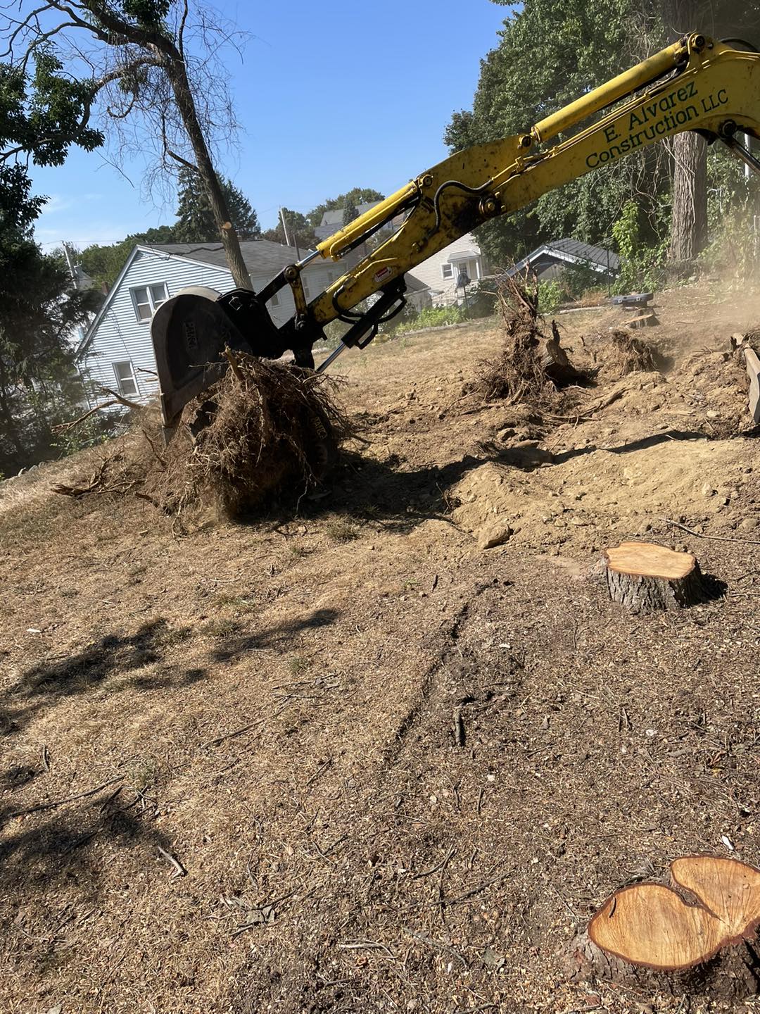 Stump and excavating work