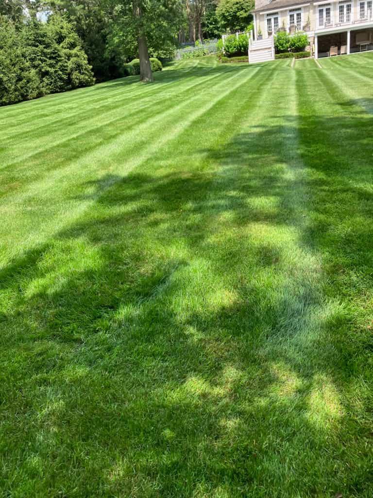 Land excavating and preparation