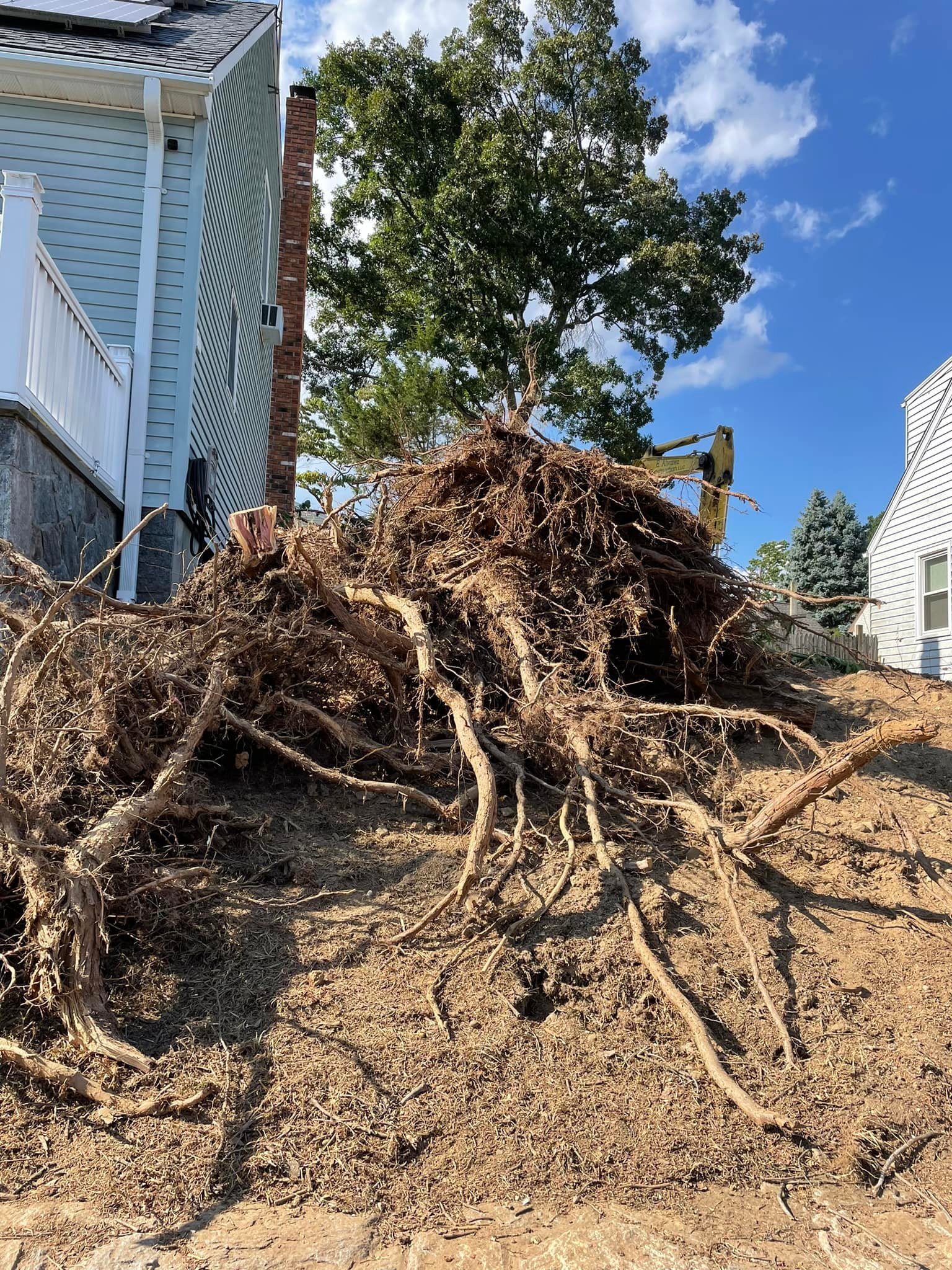 Stump and root excavation