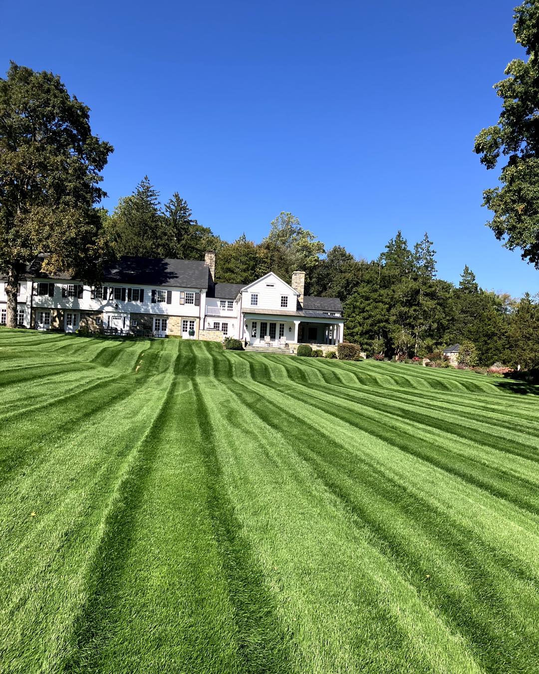 Lawn clean-up and yard maintenance