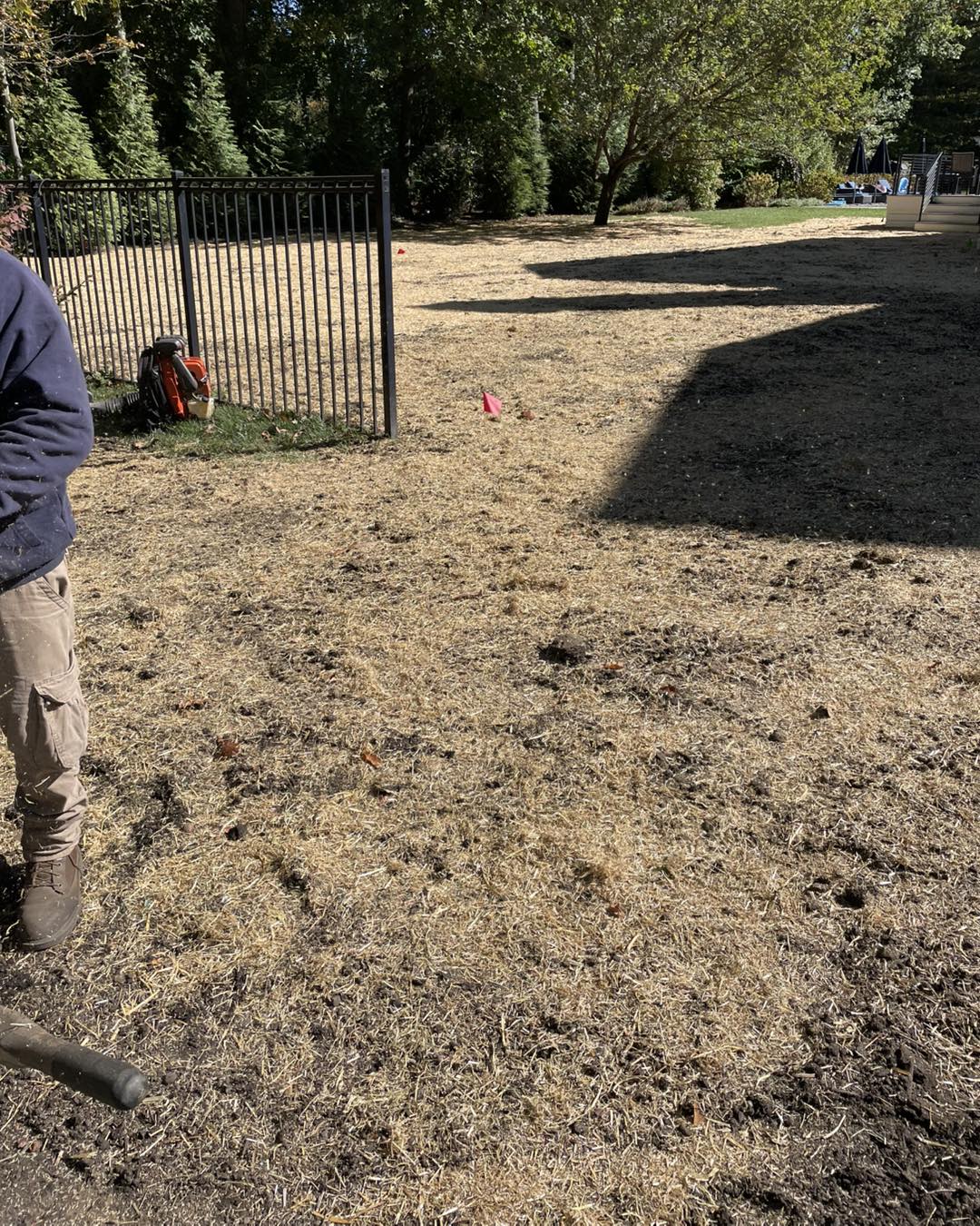 Yard clean-up service