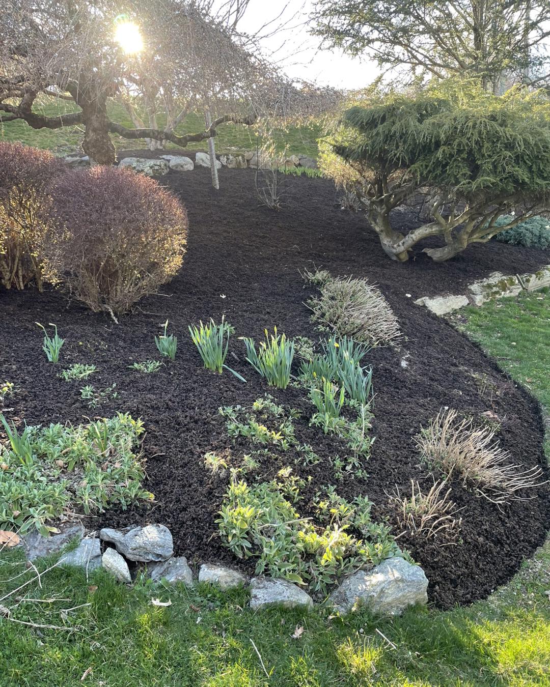 Custom stonework and masonry walkways