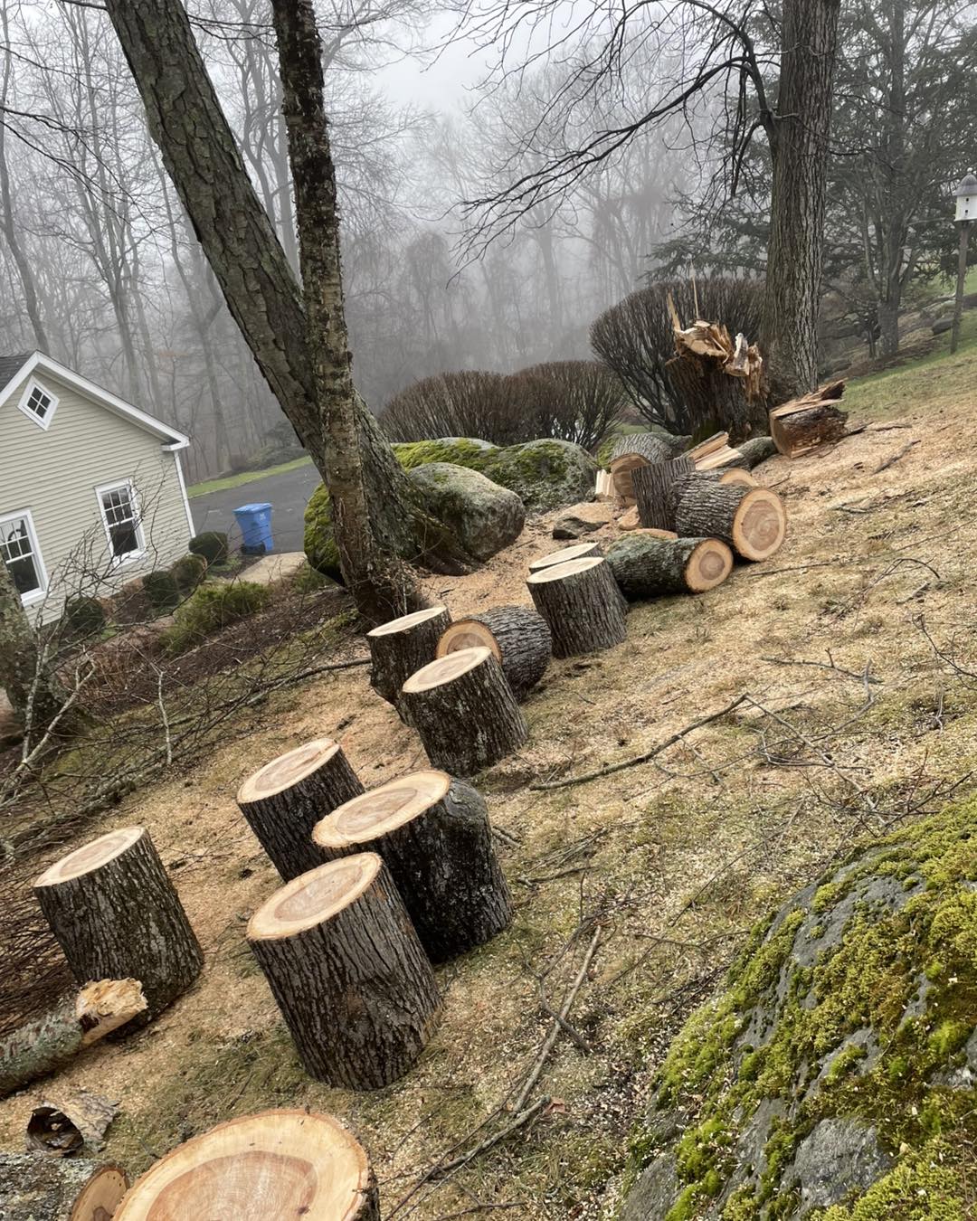 Stone patio and walkway
