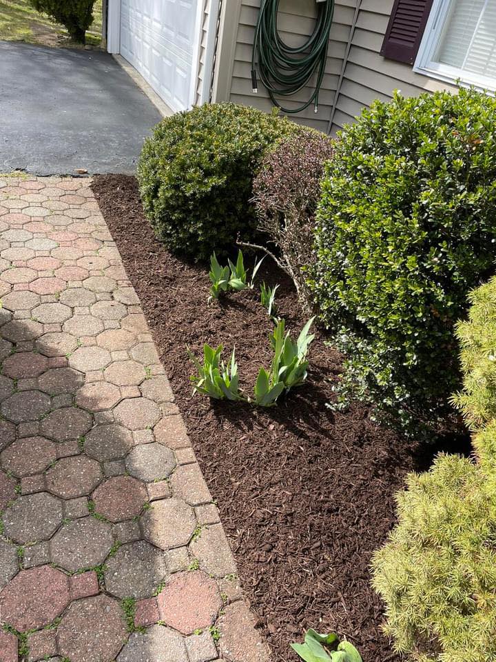 Masonry and stonework project