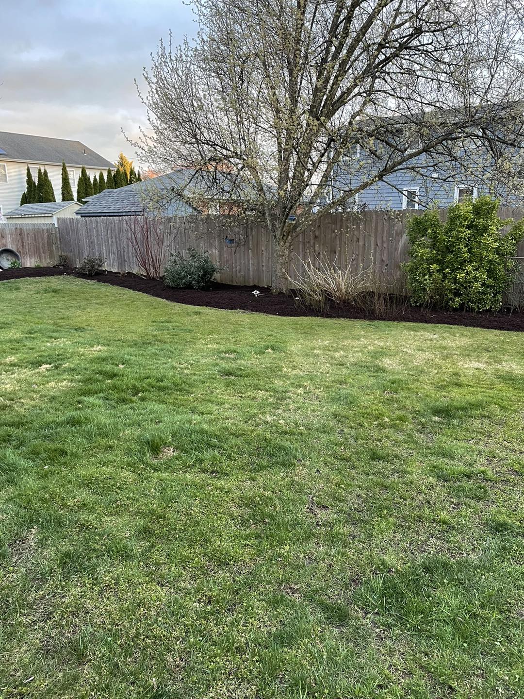 Tree service and trimming