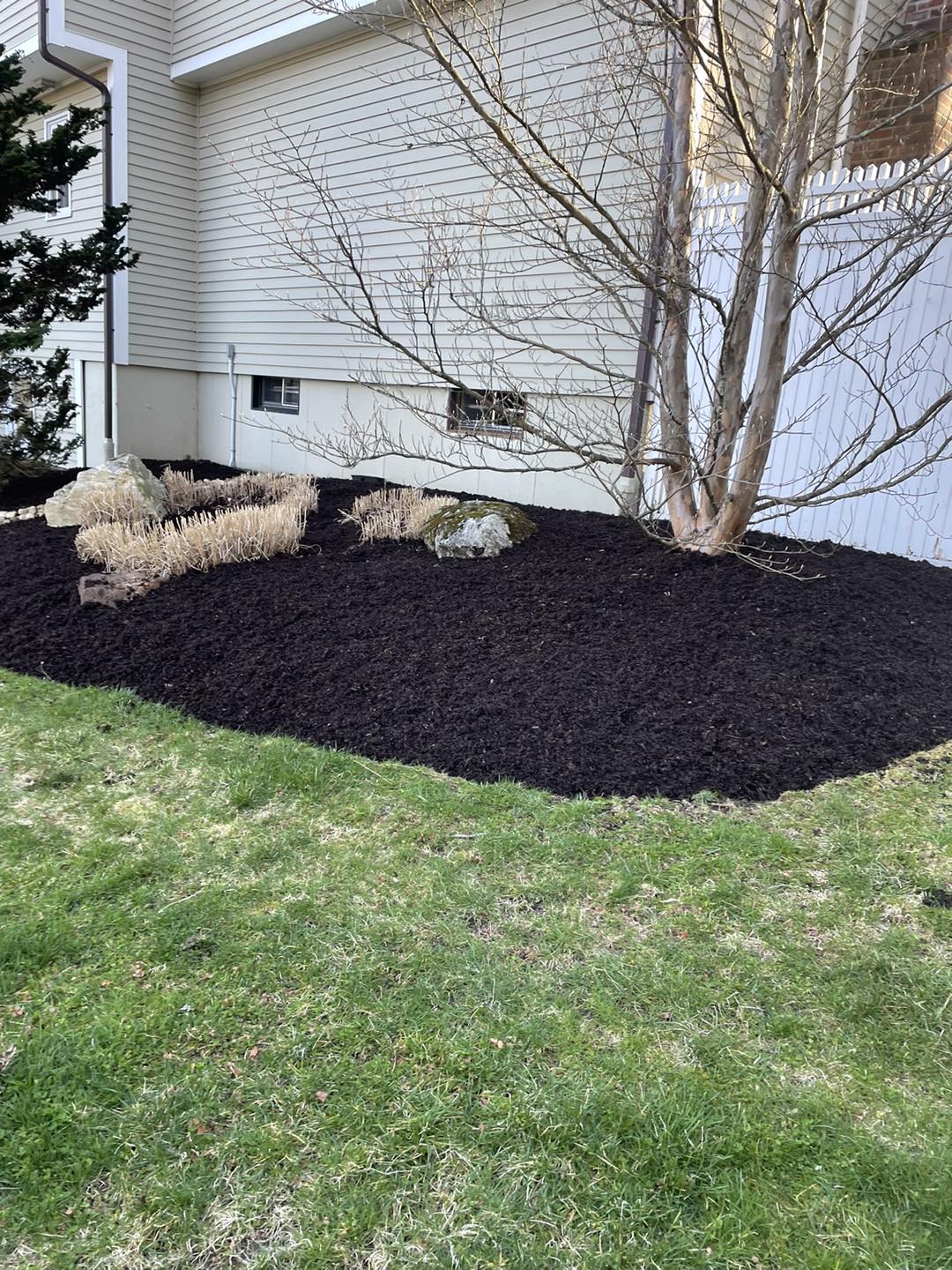 Professional tree service